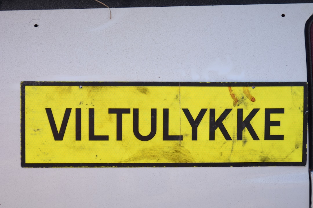 TRAFIKKETTERSØK: Ettersøk etter skadde villsvin er ikke noe som gjøres ofte, det er få som har praktisk erfaring med det og få som er gode på det. TRAFIKKETTERSØK: Ettersøk etter skadde villsvin er ikke noe som gjøres ofte, det er få som har praktisk erfaring med det og få som er gode på det.