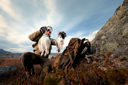 SUKSESS: Rypejakta seinhøstes byr ofte på gode opplevelser. Foto: Torje Kosmo Karlsen SUKSESS: Rypejakta seinhøstes byr ofte på gode opplevelser. Foto: Torje Kosmo Karlsen