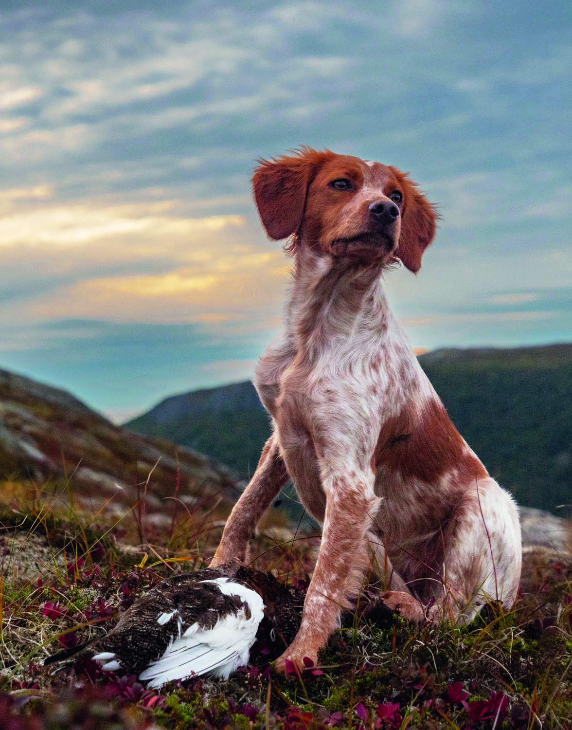 JAKTKOMPIS: Trening gir resultater når jakta starter. Foto: Privat.