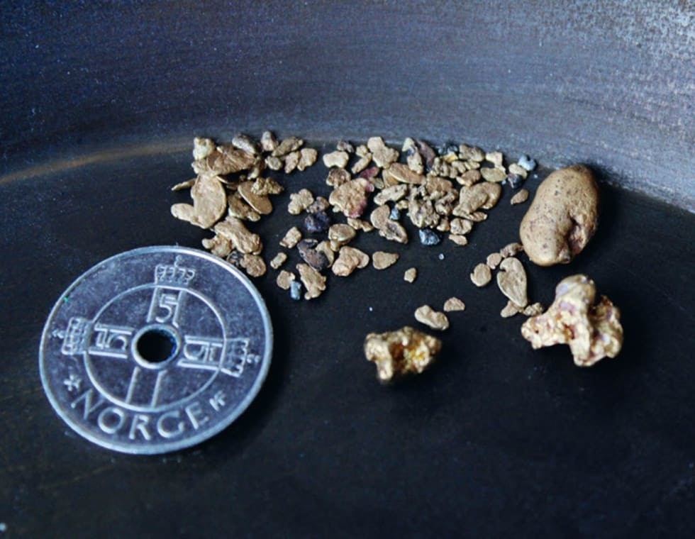GULLKLUMP: Større gullklumper, eller nuggets som det kalles, har en mye større verdi ubehandlet enn behandlet for samlere. Med størrelse og vekt fra ett gram og oppover, kan verdien bli opp mot 10 ganger av gram verdien, hvis den ikke smeltes, men selges hel. Foto: Morten Leo Mathisen gull