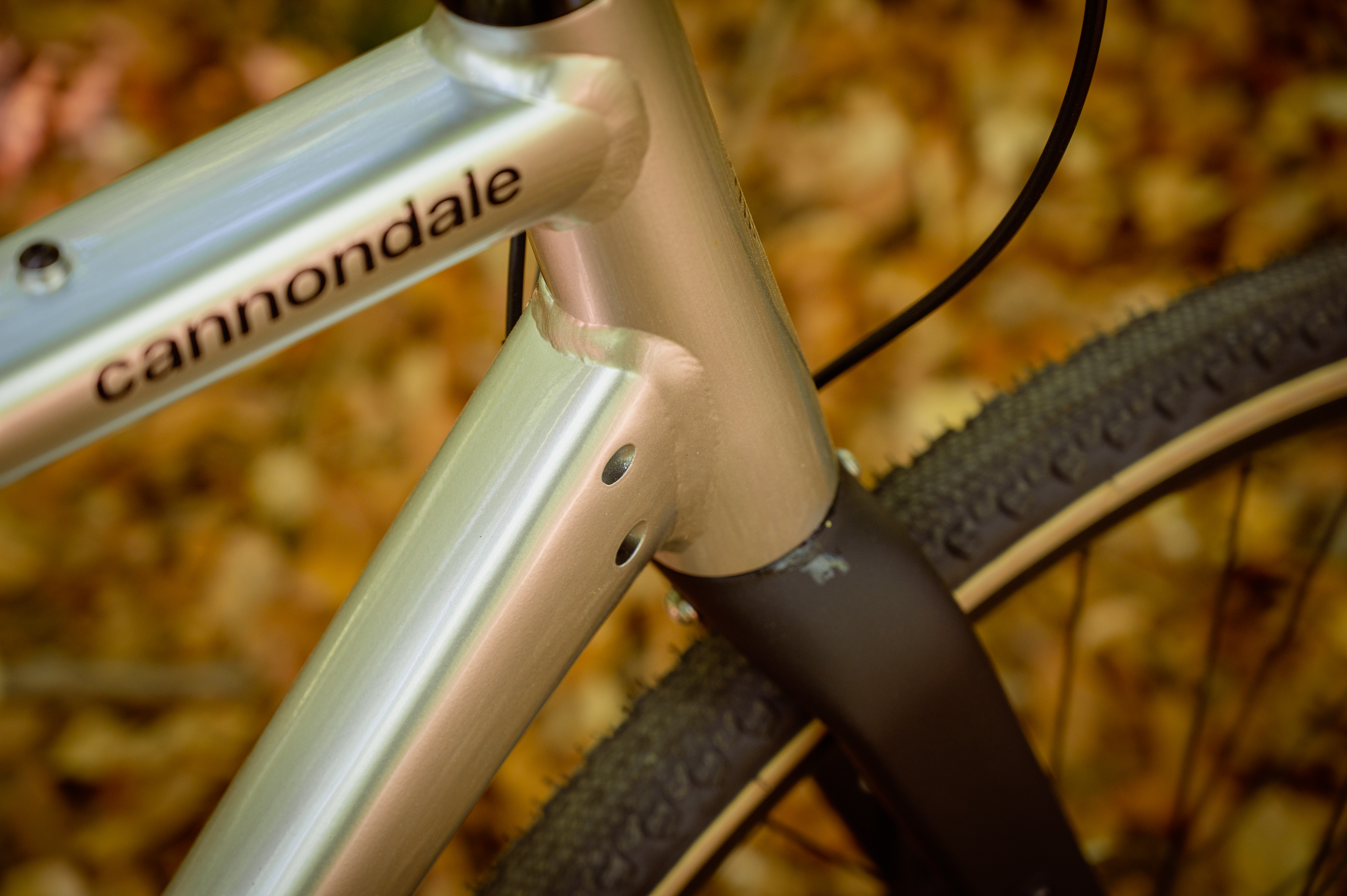 OSTEHULL: Cannondale kunne godt ha tettet disse hullene på ramma, som ville vært i bruk om du hadde hatt forgir.