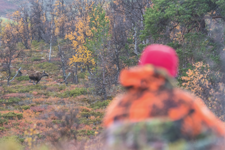 SPLITTET: Det var knappe marginer om flertallet i Høyesteretten i forbindelse med Karasjok-saken. Ill. foto: Kjell-Erik Moseid. SPLITTET: Det var knappe marginer om flertallet i Høyesteretten i forbindelse med Karasjok-saken. Ill. foto: Kjell-Erik Moseid.