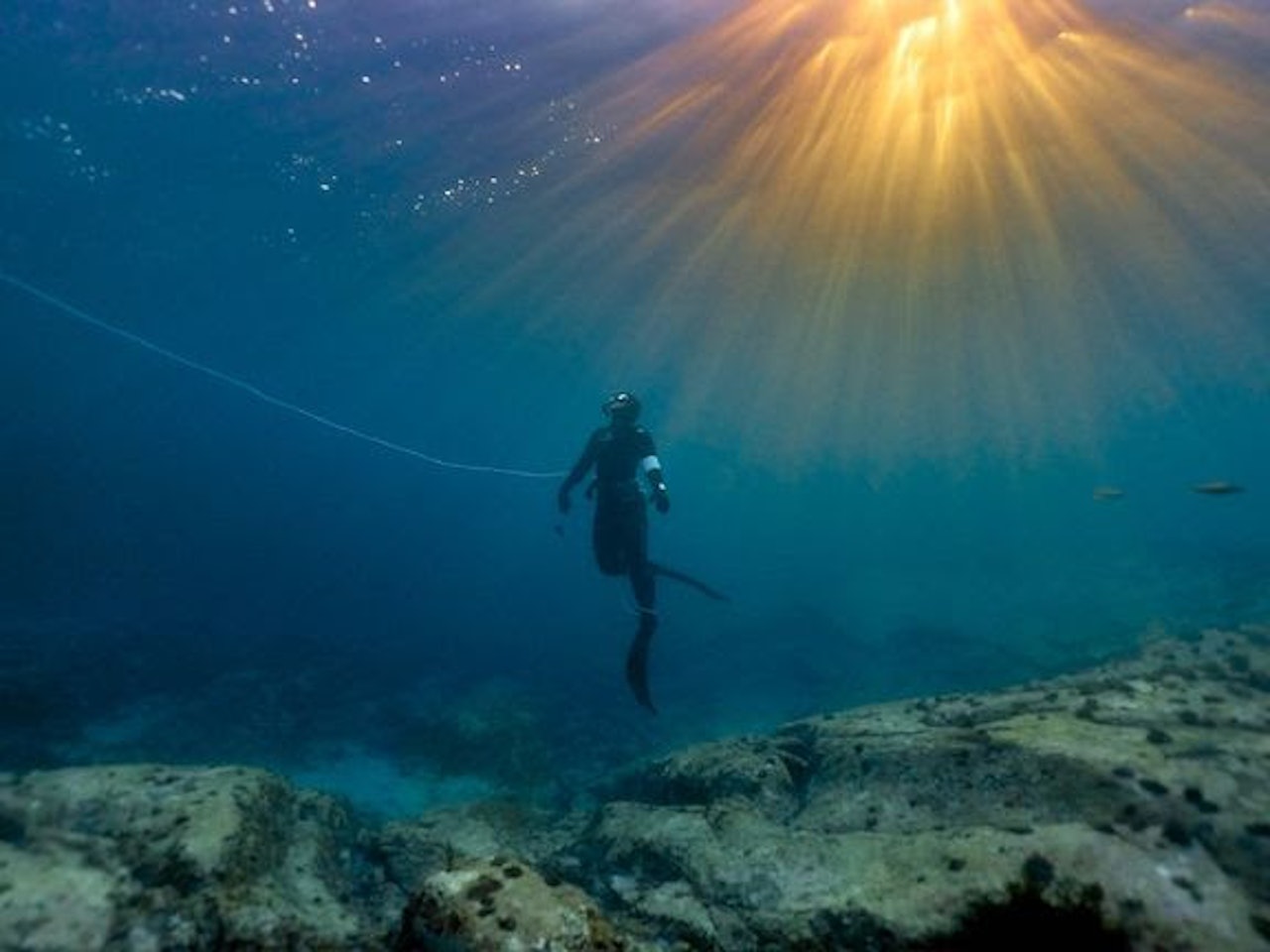 UNDER OVERFLATEN: Kråkeboller dominerer havbunnen utenfor norskekysten. Foto: Max Emanuelson UNDER OVERFLATEN: Kråkeboller dominerer havbunnen utenfor norskekysten. Foto: Max Emanuelson