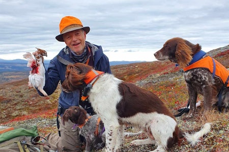 REKRUTTERING: Harald Bruflot, nestleder i Norsk Münsterländerklubb, er veldig fornøyd med rekrutteringen av nye hundeeiere og medlemmer i klubben. Her er han på rypejakt med valpen Trulte, bestemor Wilma og oldemor Frøya. REKRUTTERING: Harald Bruflot, nestleder i Norsk Münsterländerklubb, er veldig fornøyd med rekrutteringen av nye hundeeiere og medlemmer i klubben. Her er han på rypejakt med valpen Trulte, bestemor Wilma og oldemor Frøya.