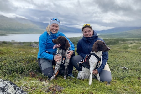 FØRSTEGANGSEIERE: Ada Skaftnesmo Løge-Hagen (t.v.) og venninnen hennes Martine Rudi Teige (t.h.) kjøpte sine første kleiner münsterländer samtidig. Martine er også veterinær, og sitter som leder i avlsrådet i Norsk Münsterländerklubb. FØRSTEGANGSEIERE: Ada Skaftnesmo Løge-Hagen (t.v.) og venninnen hennes Martine Rudi Teige (t.h.) kjøpte sine første kleiner münsterländer samtidig. Martine er også veterinær, og sitter som leder i avlsrådet i Norsk Münsterländerklubb.