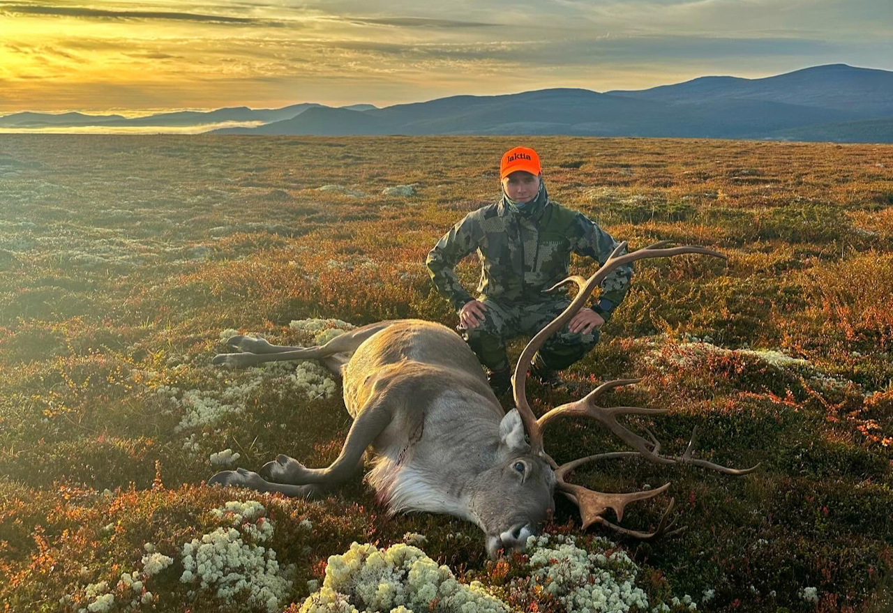 JAKTSUKSESS: Drømmen om reinsbukken var et av mange flott bidrag i runde to. Foto: Jåhn Hansen Øyen Reinsjakt