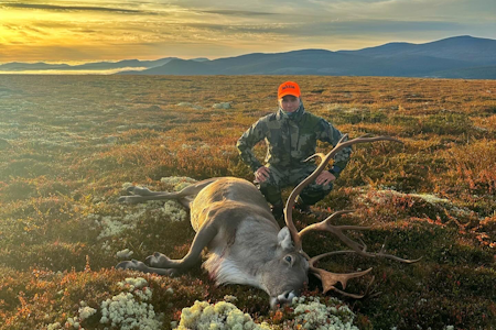 JAKTSUKSESS: Drømmen om reinsbukken var et av mange flott bidrag i runde to. Foto: Jåhn Hansen Øyen Reinsjakt
