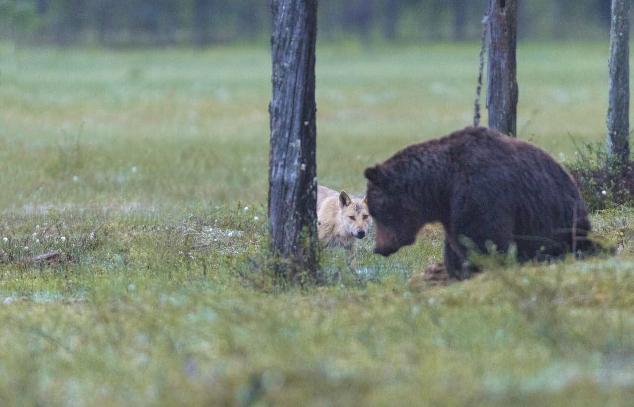 Foto: Mats Lindberg / iStockphoto Foto: Mats Lindberg / iStockphoto