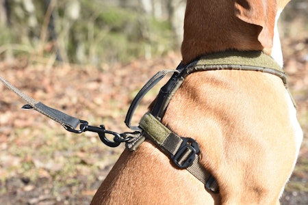 SOLID: Non-Stop Dogwear Solid Leash WD er som navnet tilsier solide greier. Kobbelet festes i halsbånd eller sele med en karabinkrok med boltlås, her ser vi kobbelet sammen med selen Non-Stop Line Harness i samme serie. SOLID: Non-Stop Dogwear Solid Leash WD er som navnet tilsier solide greier. Kobbelet festes i halsbånd eller sele med en karabinkrok med boltlås, her ser vi kobbelet sammen med selen Non-Stop Line Harness i samme serie.