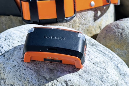 NØKKELEN: Garmin Alpha LTE er nøkkelen til sømløs sporing på både VHF og mobilnett. Den tres enkelt inn på T20-halsbåndet. NØKKELEN: Garmin Alpha LTE er nøkkelen til sømløs sporing på både VHF og mobilnett. Den tres enkelt inn på T20-halsbåndet.