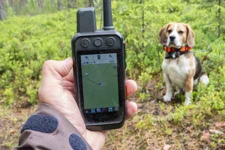 HELLIG TREENIGHET: Garmins økosystem kan settes sammen av flere Alpha-enheter, men med mobiltrackeren Garmin Alpha LTE kobla i trespann med håndenheten Alpha 300i og hundehalsbåndet Alpha T20 får du nå sporing både via VHF og 4G-nett. HELLIG TREENIGHET: Garmins økosystem kan settes sammen av flere Alpha-enheter, men med mobiltrackeren Garmin Alpha LTE kobla i trespann med håndenheten Alpha 300i og hundehalsbåndet Alpha T20 får du nå sporing både via VHF og 4G-nett.