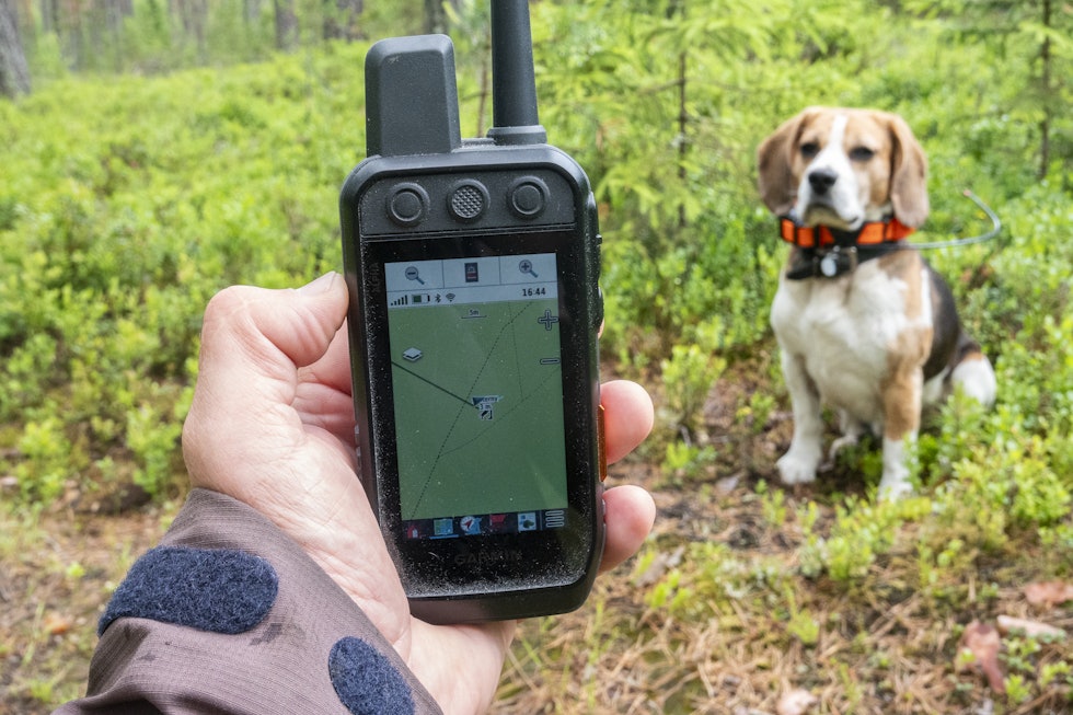 Test av Garmin Alpha 300i, Alpha LTE og Alpha T20 | JEGER.NO