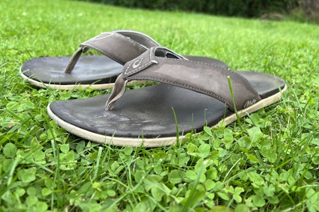 DER KLØVEREN GROR: Artikkelforfatter og eieren av de tilsynelatende udødelige OluKai-sandalene håper å bli rullet inn på aldershjemmet med de disse på bena. Foto: Kenneth Erlandsen DER KLØVEREN GROR: Artikkelforfatter og eieren av de tilsynelatende udødelige OluKai-sandalene håper å bli rullet inn på aldershjemmet med de disse på bena. Foto: Kenneth Erlandsen