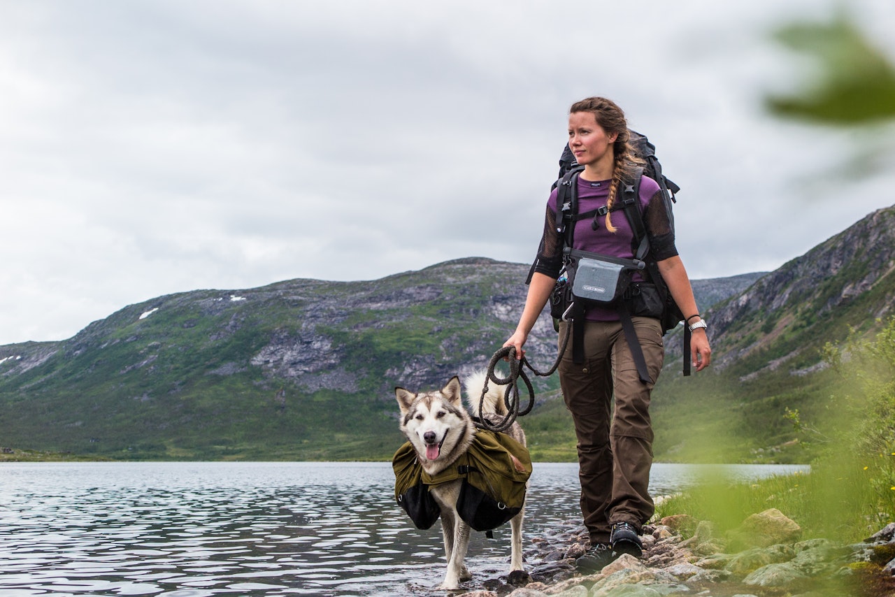 VELKOMMEN TIL ÅNDERDALEN: Fra rolig og lun furuskog på innersida, til høye og ville fjell som møter storhavet som en vegg i vest. Velkommen til Ånderdalen Nasjonalpark. At hunden (i dette tilfellet, Leina) er menneskets beste venn og hjelper, er det for øvrig ingen tvil om. Foto: Magnus Davidsen ånderdalen nasjonalpark