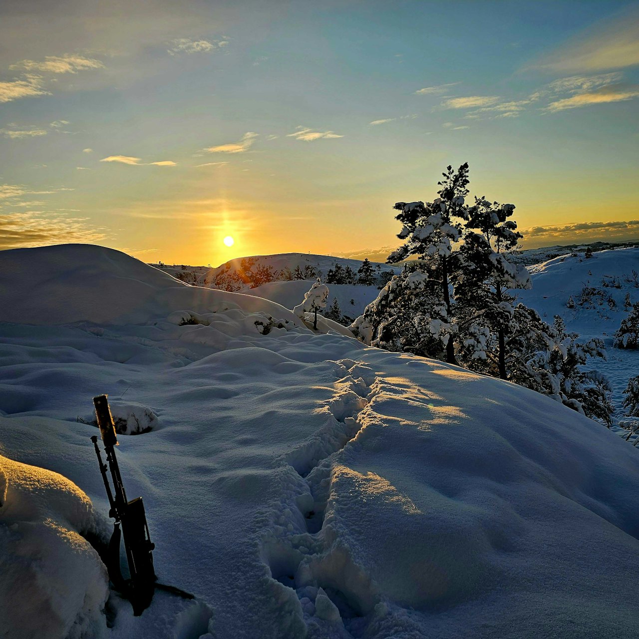 FLEST STEMMER: Dette bildet kapret flest av folkejuryen i runde fire. Foto: Pål Andre Kaasa. FLEST STEMMER: Dette bildet kapret flest av folkejuryen i runde fire. Foto: Pål Andre Kaasa.