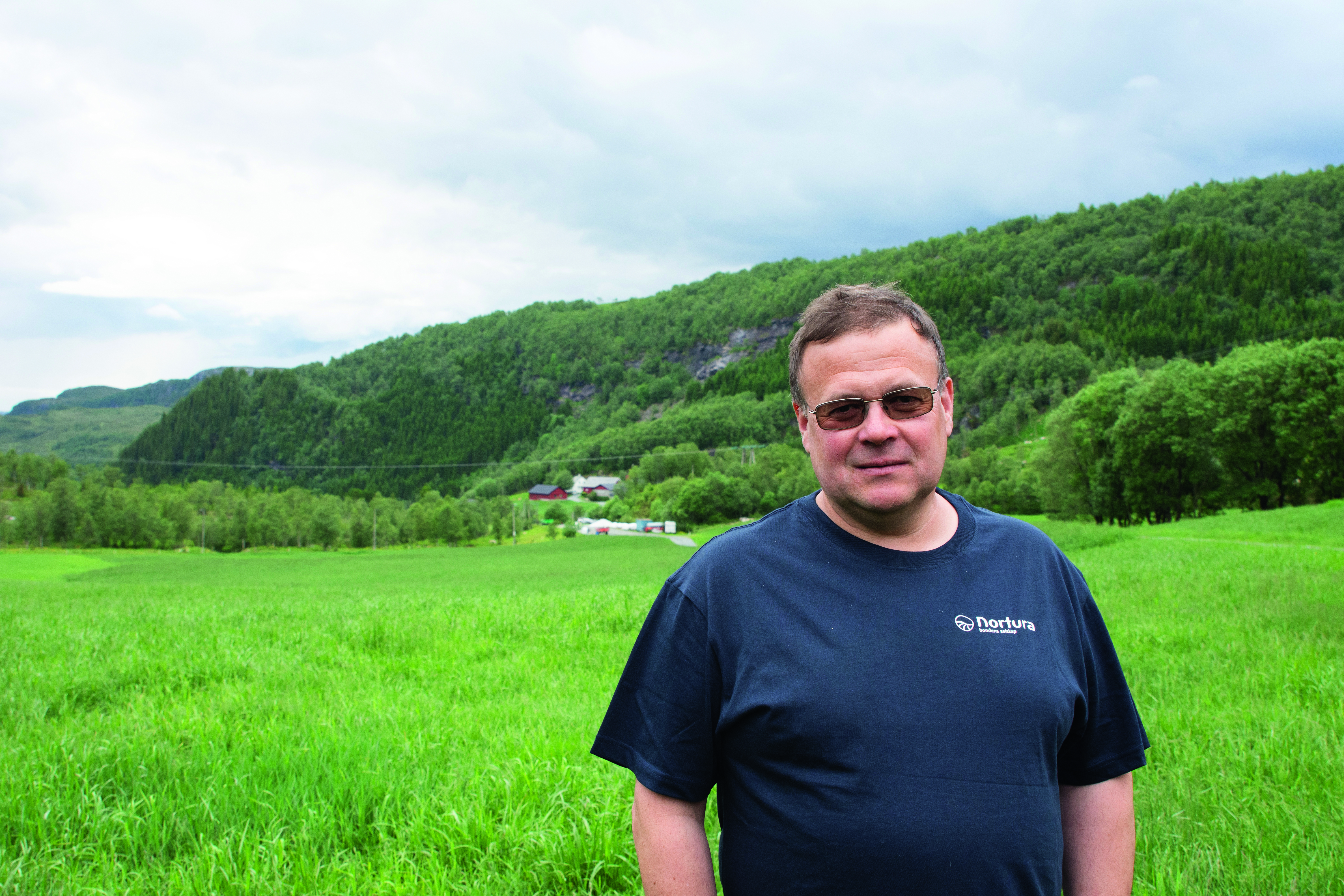 POPULÆRT BEITE: – Det er veldig mye hanndyr på sommerbeite her. I fjor telte jeg 25 store bukker rundt huset, sier Magne Norddal.