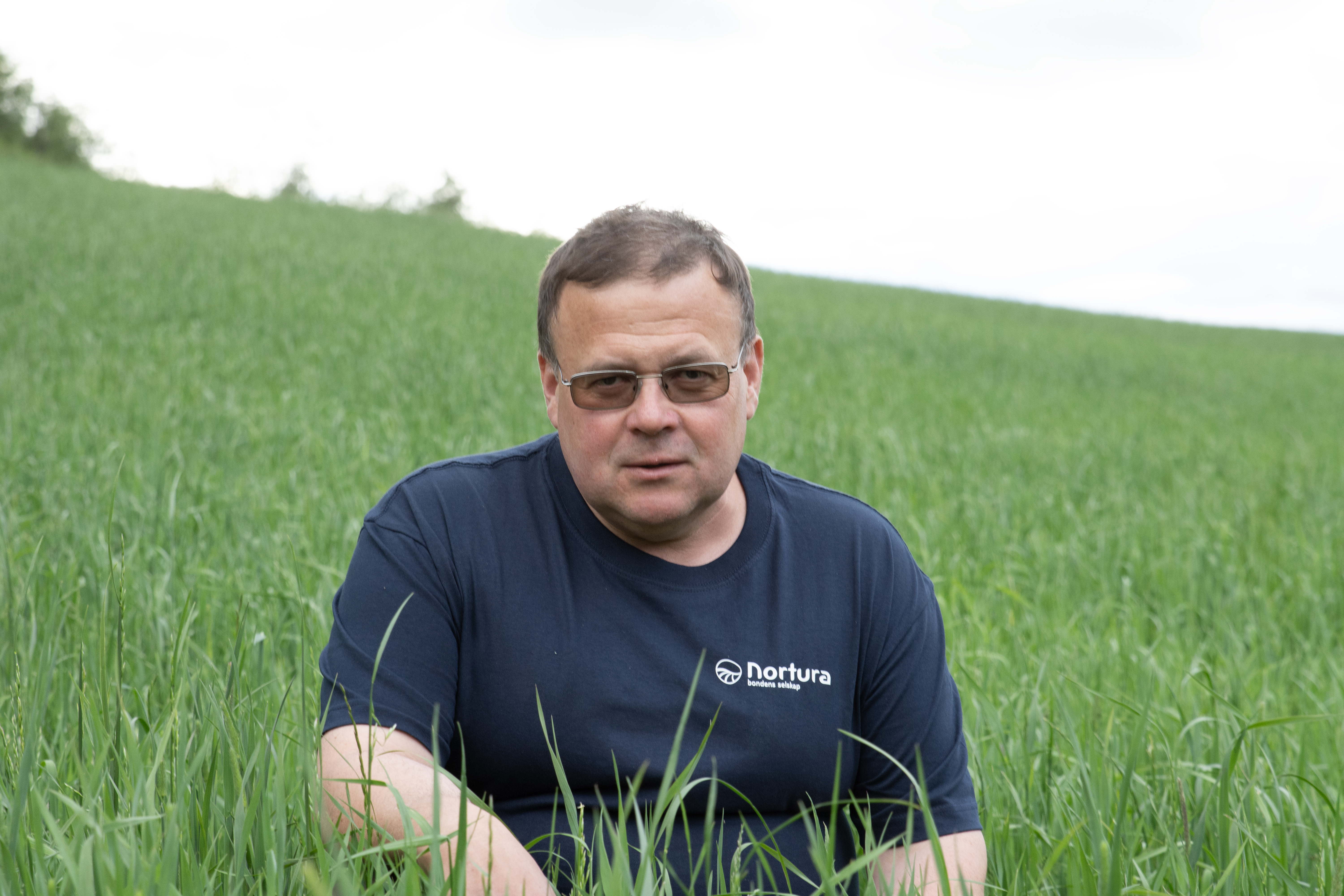 SUPERGRESS: På innsiden av hjortegjerdet har Magne Norddal plantet ei eng med høy andel timotei. Et gress som både kyrne og hjorten setter stor pris på. Om hjorten får beite på enga blir avlingen ødelagt. Timotei tåler ikke beiting.