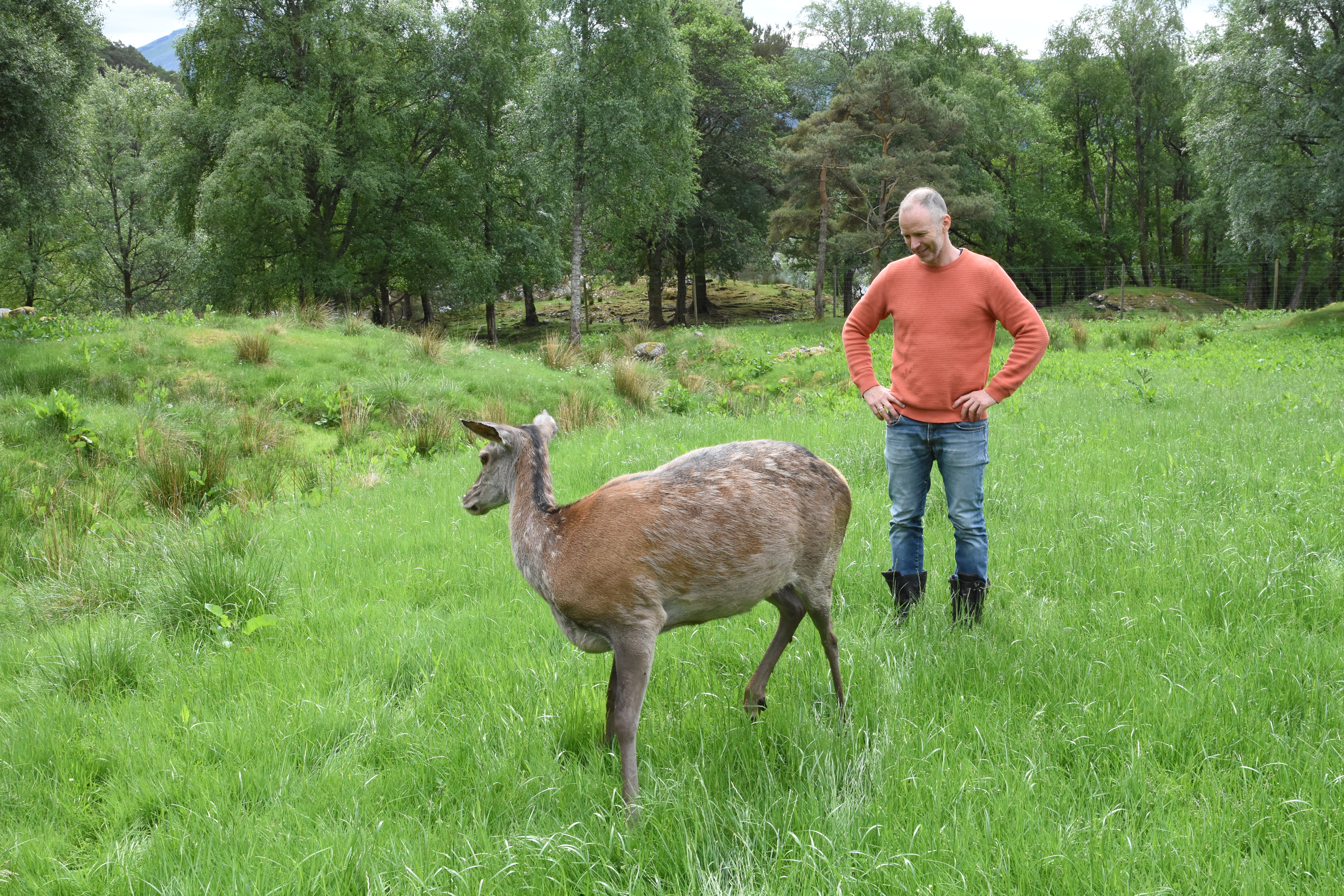 KUNNSKAP: Daglig leder ved Norsk Hjortesenter, Jon Anders Stavang, håper de bøndene som har mest beiteskader skal kunne få støtte til tiltak. Å avdekke hvor skadene er størst vil sørge for at de bøndene som faktisk har størst tap får hjelp.