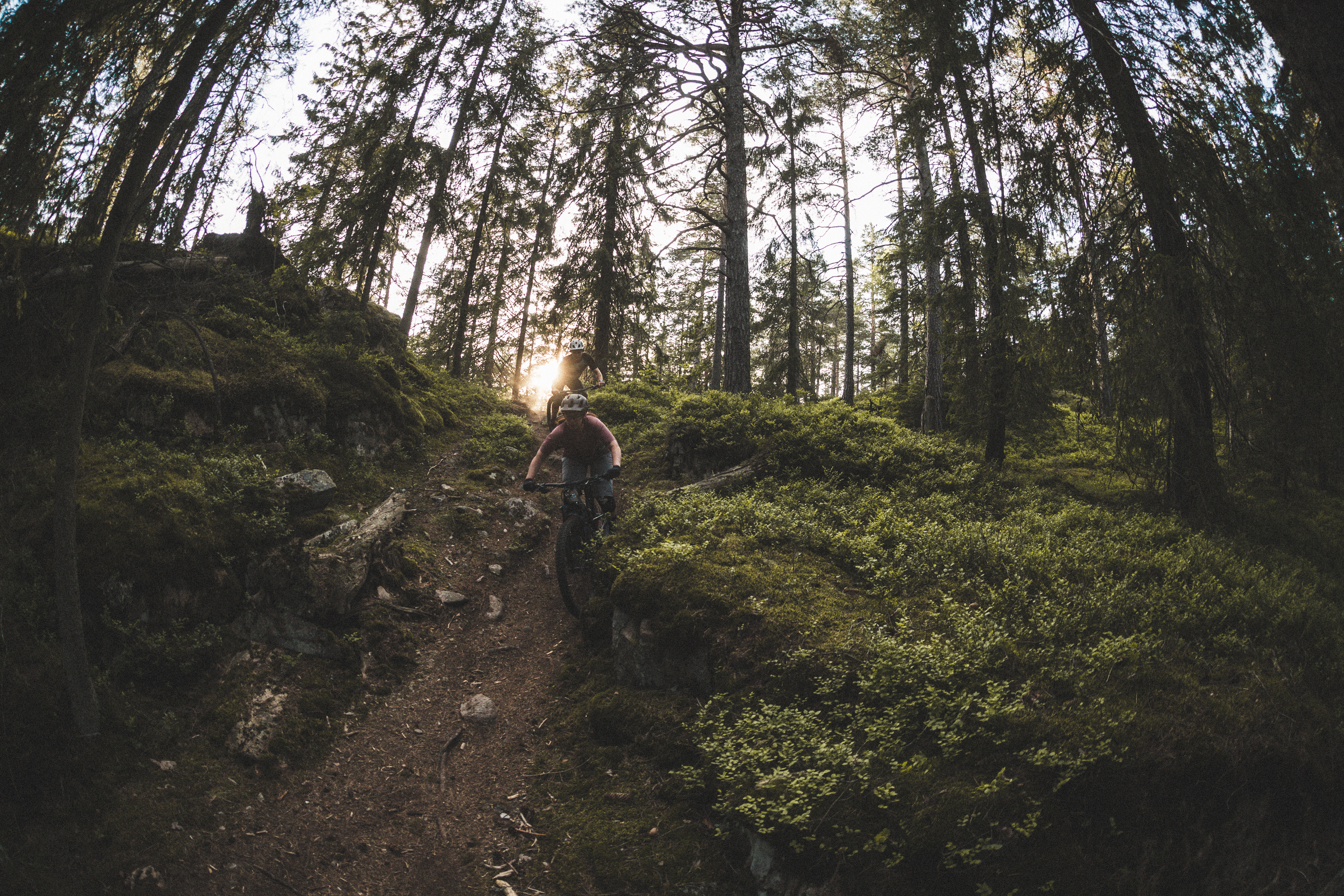 stisyklister i solnedgang på røverkollen, romsås