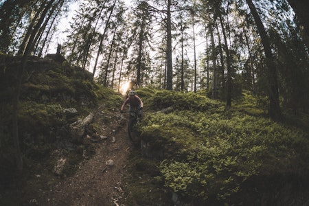 SISTE GLIMT: Tonje Sameien og Ola Paaske Gulbrandsen nyter perfekte forhold. Foto: Kristoffer H. Kippernes stisyklister i solnedgang på røverkollen, romsås