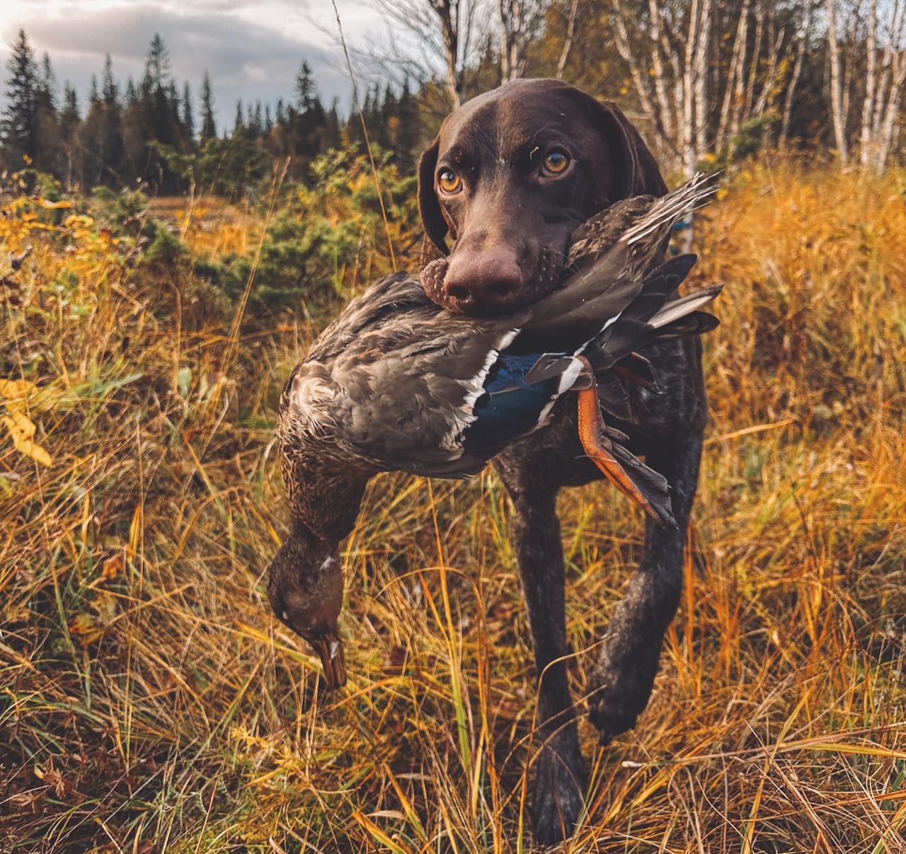 KRYSTALLKLART: Dette bildet sikret seg premie i en tidligere runde. Foto: Cecilie Hammer KRYSTALLKLART: Dette bildet sikret seg premie i en tidligere runde. Foto: Cecilie Hammer