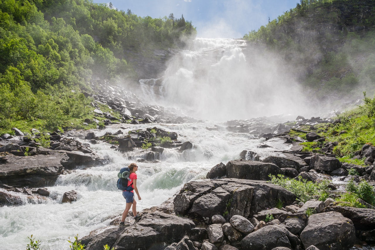 RÅTT OG VÅTT: NÅr vi nærmer oss den brusende Valnesfossen, blir det stadig fuktigere i lufta. Fossen er størst rett etter snøsmeltingen. Foto: Jon Olav Larsen valnesfossen