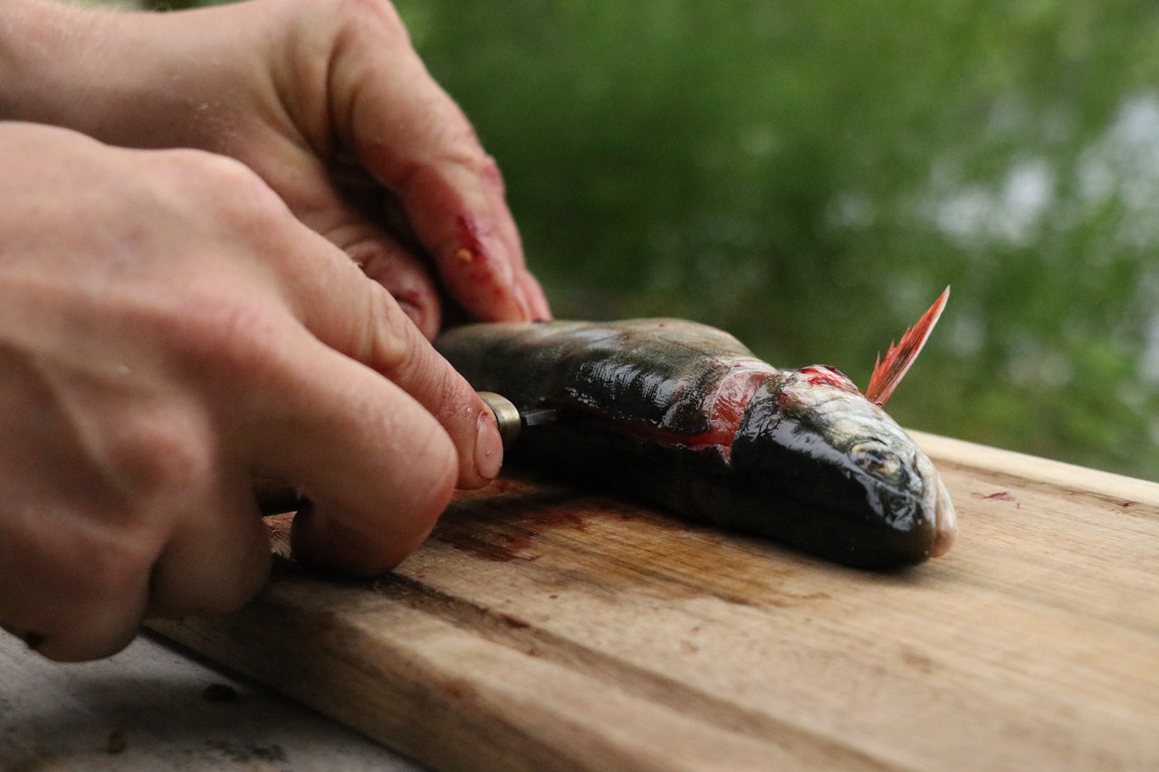 STEG 2: Vri kniven 90 grader, og før den med egga flatt bortetter ryggraden. filetere fisk