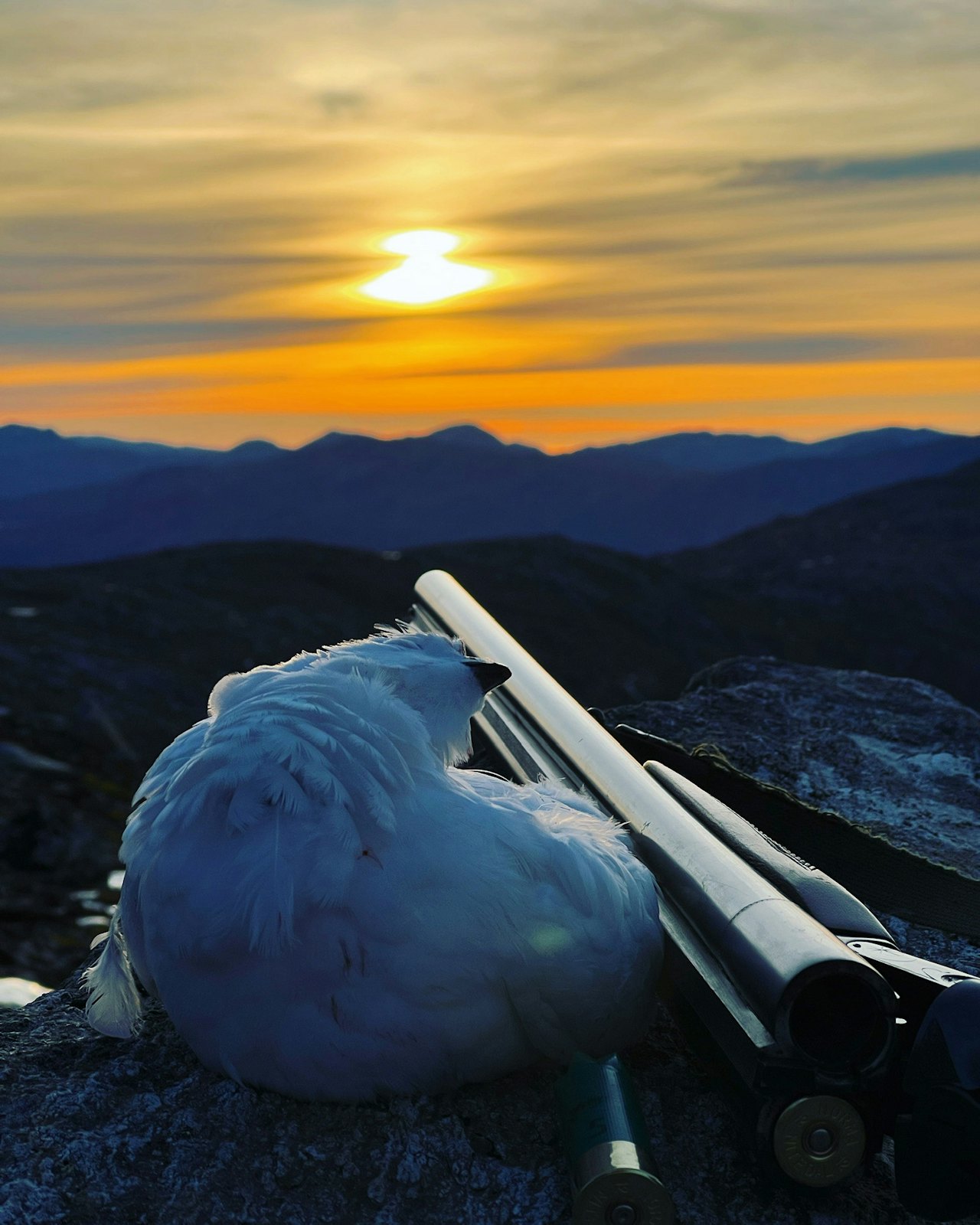 JAKTSTEMNING: Med frost i bakken, ingen snø og hvite ryper, har nok dette vært en minnerik dag i fjellet. Foto: Kristian Doherty JAKTSTEMNING: Med frost i bakken, ingen snø og hvite ryper, har nok dette vært en minnerik dag i fjellet. Foto: Kristian Doherty