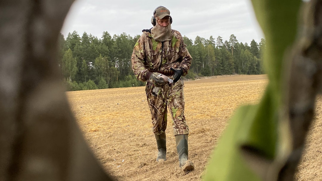 FINVÆRSJAKT: Duejakta er desidert best på solskinnsdager. (Foto: Gard Arneberg/Statskog) FINVÆRSJAKT: Duejakta er desidert best på solskinnsdager. (Foto: Gard Arneberg/Statskog)