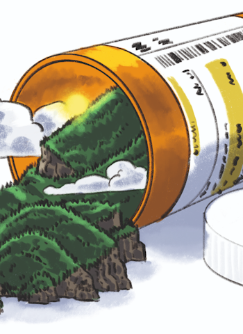 PUST INN; PUST UT. Ørsmå VOC-er fra skogen sørger for positive helsefordeler. Illustrasjon: Didrik Magnus-Andersen PUST INN; PUST UT. Ørsmå VOC-er fra skogen sørger for positive helsefordeler. Illustrasjon: Didrik Magnus-Andersen