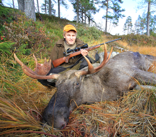 GIKK NED: 308 håndterer selv den største elgokse med enkelhet. Om du først og fremst skyter storvilt som elg eller villsvin er 308 Win bra kalibervalg. GIKK NED: 308 håndterer selv den største elgokse med enkelhet. Om du først og fremst skyter storvilt som elg eller villsvin er 308 Win bra kalibervalg.