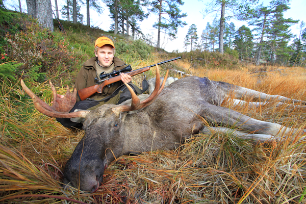GIKK NED: 308 håndterer selv den største elgokse med enkelhet. Om du først og fremst skyter storvilt som elg eller villsvin er 308 Win bra kalibervalg. GIKK NED: 308 håndterer selv den største elgokse med enkelhet. Om du først og fremst skyter storvilt som elg eller villsvin er 308 Win bra kalibervalg.