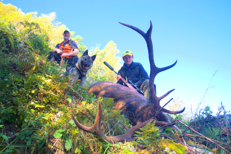 BUKKEFALL: Hundefører Odd Harald Talgø og hjorteskytter Erik Kårvatn ved hjorten. Etter skuddet raste bukken utfor med bulder og brak, ble liggende langt nedenfor der den ble påskutt. BUKKEFALL: Hundefører Odd Harald Talgø og hjorteskytter Erik Kårvatn ved hjorten. Etter skuddet raste bukken utfor med bulder og brak, ble liggende langt nedenfor der den ble påskutt.