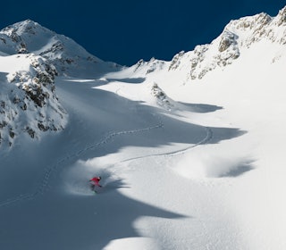 GJEST: Ringreven Torgeir Bergrem var med Leenderts & co på tur i norske, snøkledde fjell. Foto: Simon Sjøkvist GJEST: Ringreven Torgeir Bergrem var med Leenderts & co på tur i norske, snøkledde fjell. Foto: Simon Sjøkvist