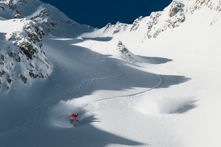 GJEST: Ringreven Torgeir Bergrem var med Leenderts & co på tur i norske, snøkledde fjell. Foto: Simon Sjøkvist GJEST: Ringreven Torgeir Bergrem var med Leenderts & co på tur i norske, snøkledde fjell. Foto: Simon Sjøkvist