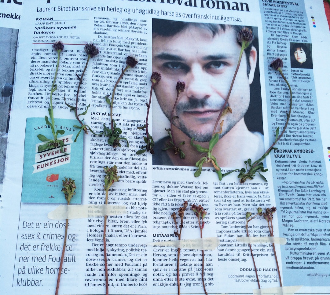 BOTANIKEREN: Jeg er her av en helt annen grunn enn å snakke med fugl. Jeg er på leting etter skatter. botanisering kopi