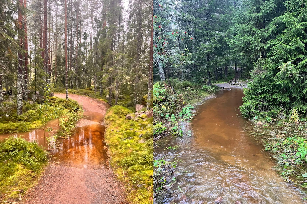 MYE NEDBØR: Slik ser det ut på stiene i Trysil Bike Arena nå. Foto: Trysil Bike Arena MYE NEDBØR: Slik ser det ut på stiene i Trysil Bike Arena nå. Foto: Trysil Bike Arena
