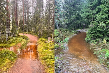 MYE NEDBØR: Slik ser det ut på stiene i Trysil Bike Arena nå. Foto: Trysil Bike Arena MYE NEDBØR: Slik ser det ut på stiene i Trysil Bike Arena nå. Foto: Trysil Bike Arena