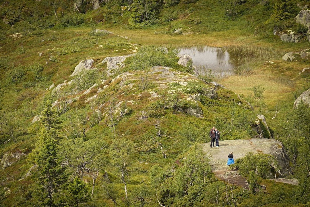 TURMÅL: Dansarstein er et flatt fjellplatå hvor det har vært mye dans og moro gjennom tidene. Foto: Erlend Larsen dansarstein