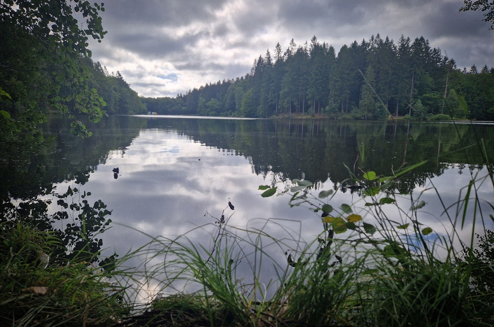 Klåverödsdammen skåneleden