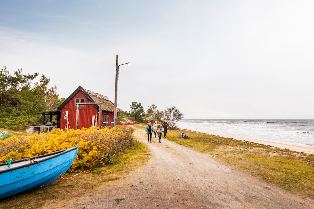 HØST VED HAVET: Skåne ligger helt sør på den skandinaviske halvøya, oog Skåne  Adam av Bremen beskrev Skåne som Danmarks rikeste, vakreste og viktigste del. Skåne har vært et område for en rekke kriger mellom Danmark og Sverige. Skåne ble erobret og innlemmet i Sverige i perioden 1658-1720. Foto: Apeloga skåne høst