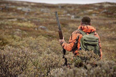 STØKKJAKT: Hvordan finner man rypa uten en firbeint jaktkompis? Vi gir deg tipsene du trenger. Ill. foto: Eirik Brekke STØKKJAKT: Hvordan finner man rypa uten en firbeint jaktkompis? Vi gir deg tipsene du trenger. Ill. foto: Eirik Brekke
