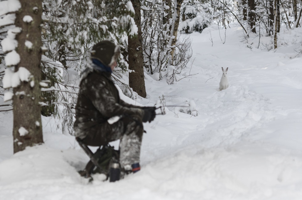 PÅ POST: Det er alltid spennende å følge hunden på GPS-en. Men under los er det langt viktigere å følge med på hva som skjer foran deg.