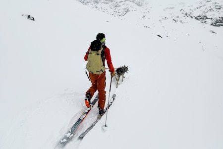 LOS PÅ KJOS: På tur oppover etter å ha fått på skiene. Lasse og Kristian møtte to andre entusiaster og fulgte sporene deres et stykke oppover. Foto: Kristian Johansen LOS PÅ KJOS: På tur oppover etter å ha fått på skiene. Lasse og Kristian møtte to andre entusiaster og fulgte sporene deres et stykke oppover. Foto: Kristian Johansen