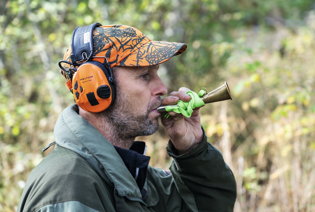 INNKALLING: Rune bruker en liten trompet med kraftig lyd, for å kalle inn hunden. En lydig hund gjør at jakta både blir mer effektiv og tryggere. INNKALLING: Rune bruker en liten trompet med kraftig lyd, for å kalle inn hunden. En lydig hund gjør at jakta både blir mer effektiv og tryggere.