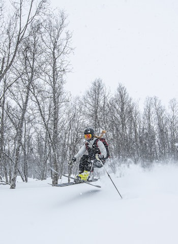 GROR IGJEN: Hvis naturen får bestemme fritt, tar den fort tilbake områder som en gang har vært kvistet og tilrettelagt for skogskjøring. Foto: Magnus Utkilen hallingskarvet skisenter
