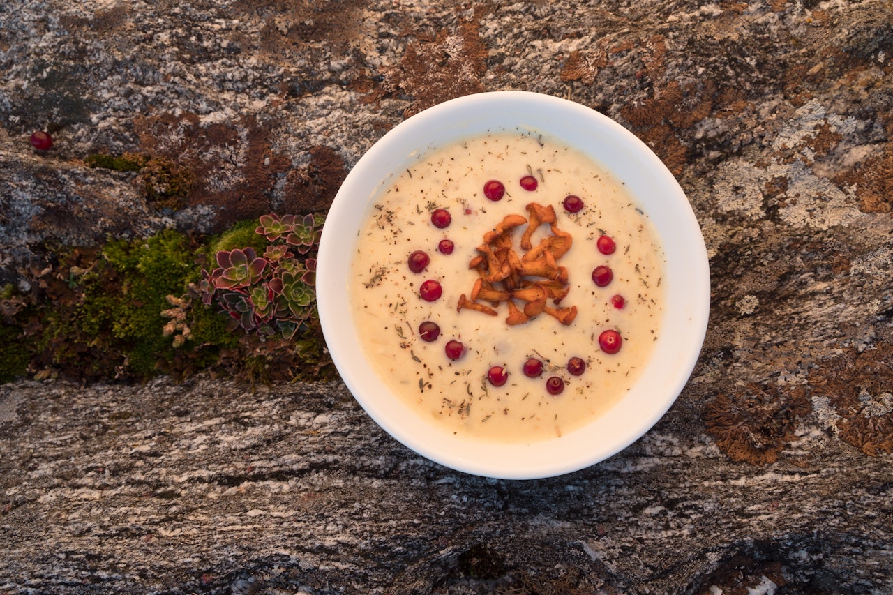 HØSTSUPPE: Tyttebær tilfører god syre og soppen gav smak av umami. Foto: Lisa Vikjord høstsuppe med sopp og tyttebær