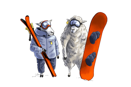 ALT PÅ ET BRETT: Ikke av helt den samme ulla. Illustrasjon: Didrik Andresen ski og snowboard