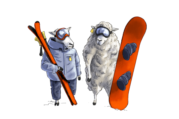 ALT PÅ ET BRETT: Ikke av helt den samme ulla. Illustrasjon: Didrik Andresen ski og snowboard