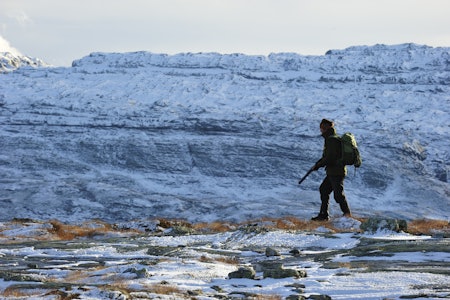 FORTSATT MULIGHETER: Det er ledige kort mange steder i Sør-Norge for den som leter. Både skogsfugl og rype. FORTSATT MULIGHETER: Det er ledige kort mange steder i Sør-Norge for den som leter. Både skogsfugl og rype.